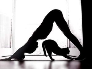 Yoga al fiume - Hatha Yoga e Nidra Yoga IMG 20180731 WA0018