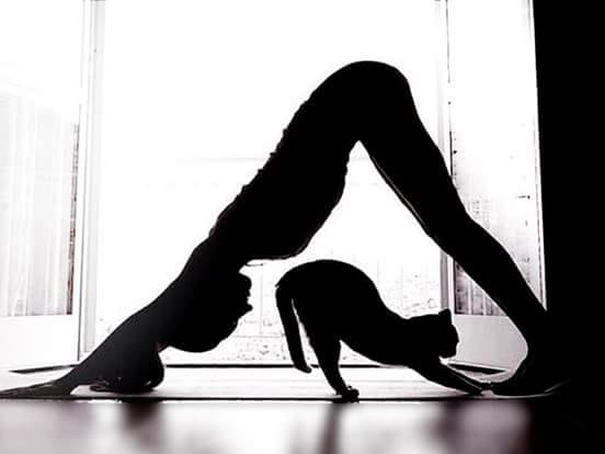 Yoga al fiume - Hatha Yoga e Nidra Yoga IMG 20180731 WA0018