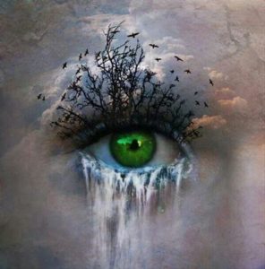 ๐ฆ๐๐ฆ๐ฆ๐๐ข๐ก๐ ๐๐ข๐ฆ๐ง๐๐๐๐๐ญ๐๐ข๐ก๐ ๐๐๐ ๐๐๐๐๐ฅ๐ ๐๐ก๐๐๐ฉ๐๐๐จ๐๐๐ โ ๐ ๐๐ง๐ข๐๐ข ๐๐ฉ๐ข๐๐๐ก๐๐ ๐ยฎ adff10588473b10c65a362e62bfbf089 3