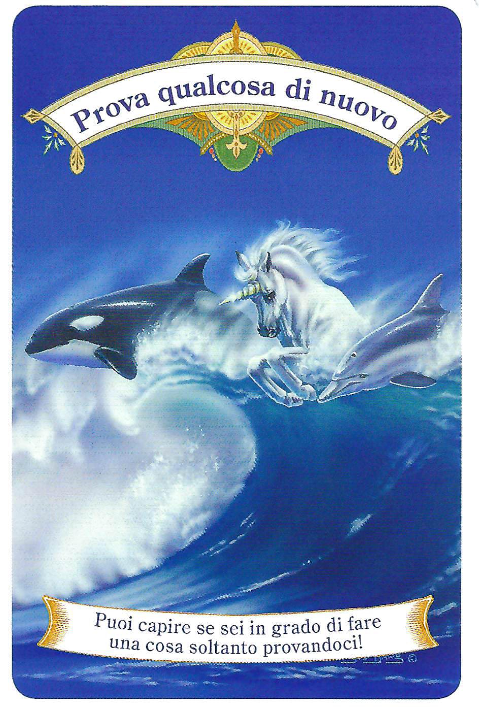 Le carte degli unicorni