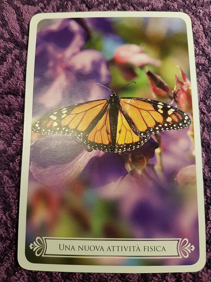 UNA NUOVA ATTIVITÀ FISICA